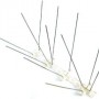 Anti-bird Spikes