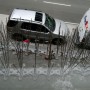 Anti Bird Spikes