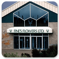 Ray Neon Awnings