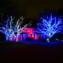 Christmas Lights Service